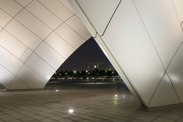 _DSC0219g
