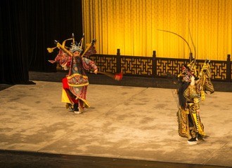 _DSC0473g