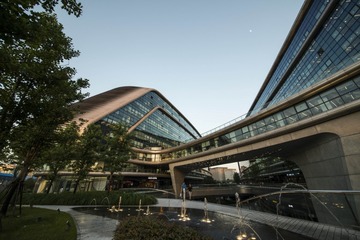 _DSC0728g