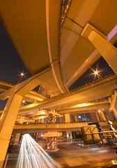 _DSC0800g