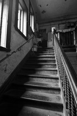 _DSC0682g
