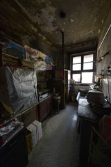_DSC0685g