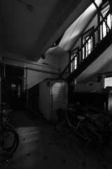 _DSC0690g
