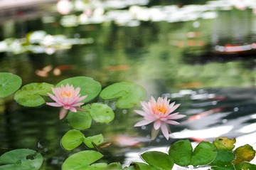 _DSC0844-847