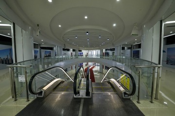 _DSC1255g