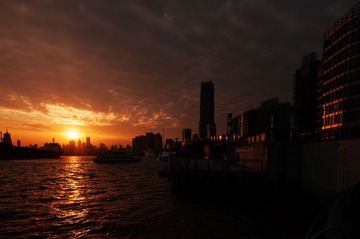 _DSC1084g