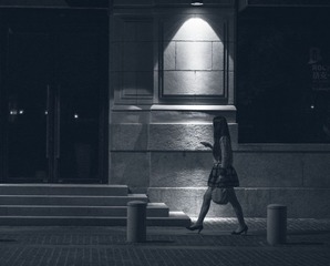 陈存珑-夜行