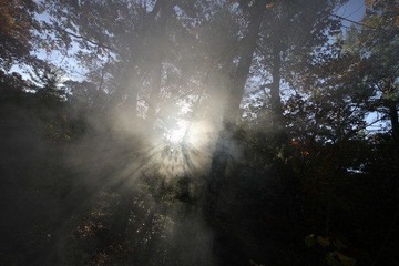 IMG_0292.JPG