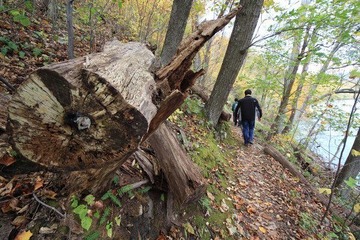 IMG_0342.JPG