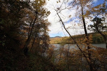 IMG_0346.JPG