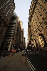 IMG_0654.jpg