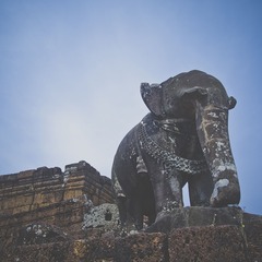 _1294833