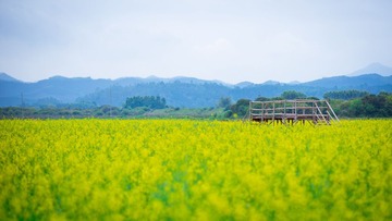 _DSC1298