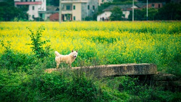 _DSC1359