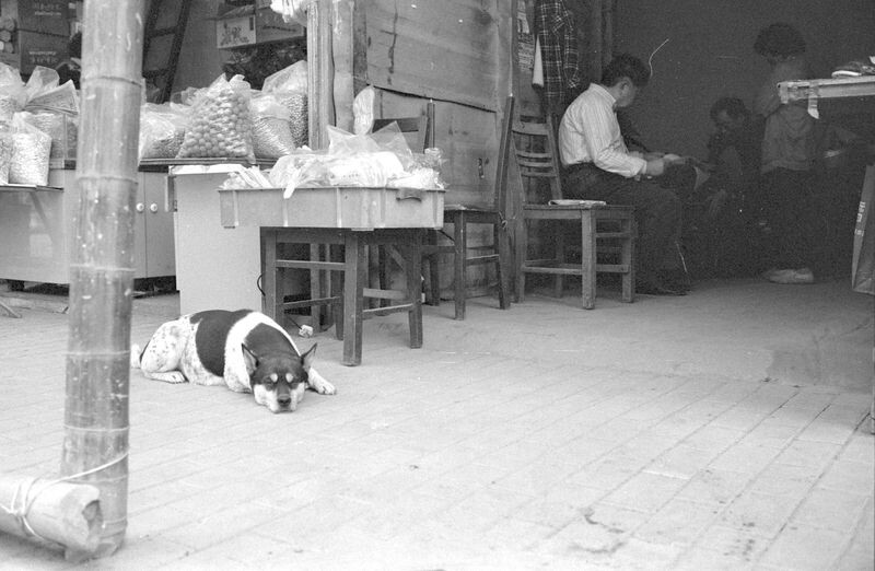 Scan-130612-0010<br />
