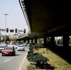 40470026.JPG