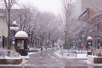 DSC01013.JPG