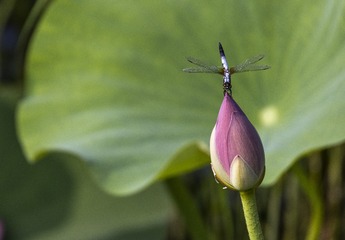1415181