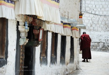 DSC_3893-1.jpg