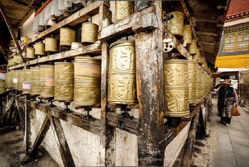 DSC_3630-1.jpg