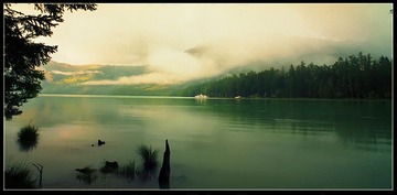 Untitled-820.jpg