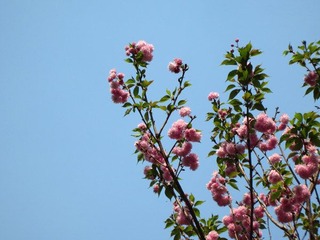 IMG_0563.jpg