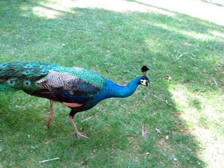 IMG_0566.jpg