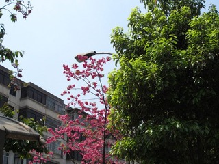 IMG_0576.jpg