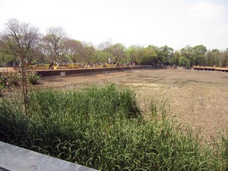IMG_0578.jpg
