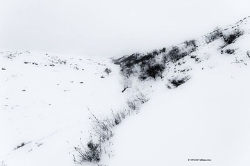 _DSC1370_1.JPG