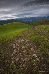 DSC_5695.jpg
