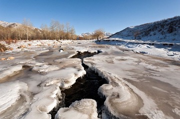 _DSC1519.jpg