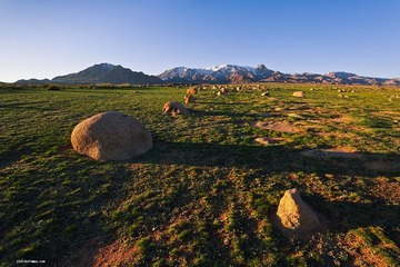 _DSC1296.jpg