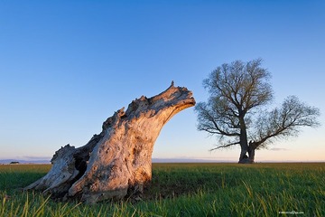 _DSC3735.jpg