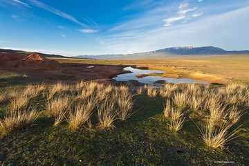 _DSC1156.jpg