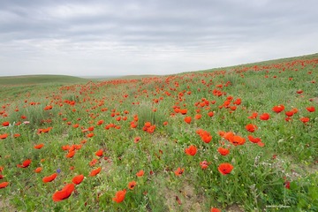 _DSC5028.jpg