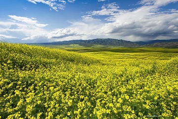 _DSC9400.jpg