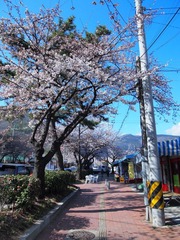 P4061683.JPG