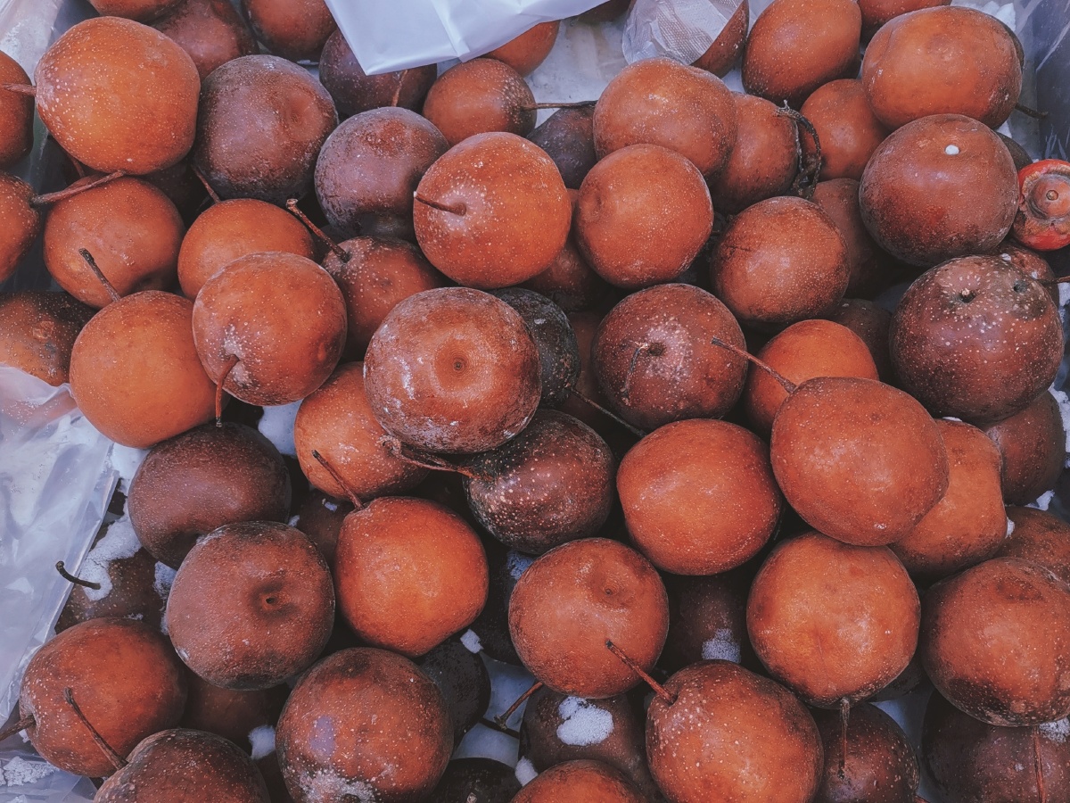 冬季冻柿子东北年味儿冬天