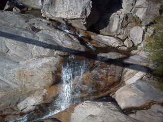 DSC00170.jpg