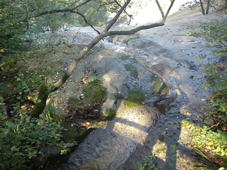 DSC00076.jpg