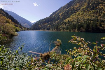 IMG_8230.jpg