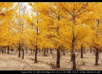 IMG_3989.jpg