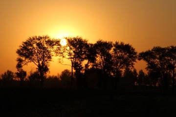 IMG_2419.jpg