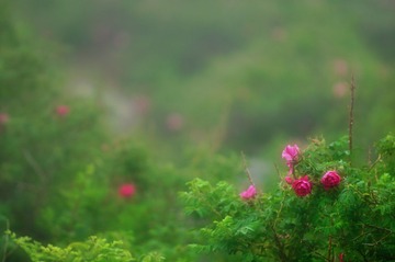 DSC_3268.jpg