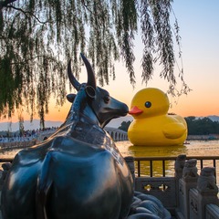 “DSCF0537”为智能对象-1