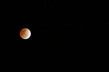 DSC06595 (1280x851).jpg