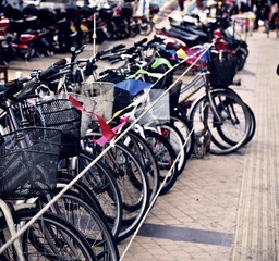 DSC_0011-1.jpg