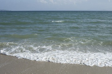 IMGP0091.jpg