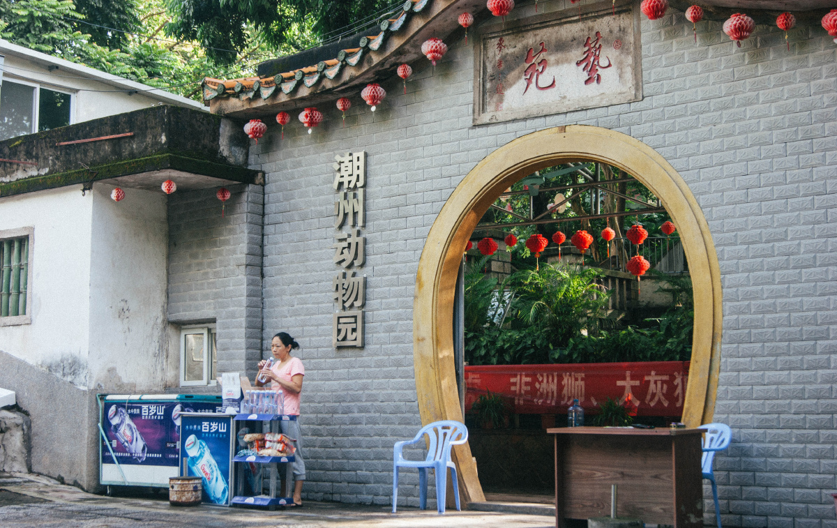 小小小丸子 - 图虫摄影网